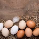 Huevos frescos reposando sobre paja natural.