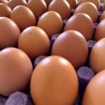 Huevos listos para la venta en su bandeja.